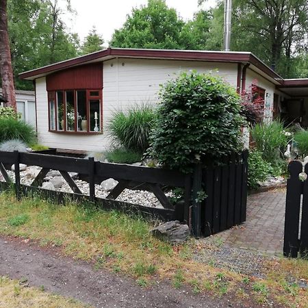 Sfeervol, Ruim En Luxe Chalet In Bosrijke Omgeving Villa Diessen Luaran gambar