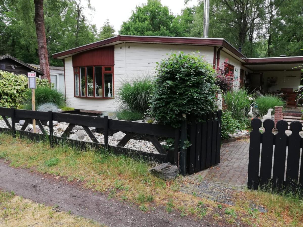 Sfeervol, Ruim En Luxe Chalet In Bosrijke Omgeving Villa Diessen Luaran gambar